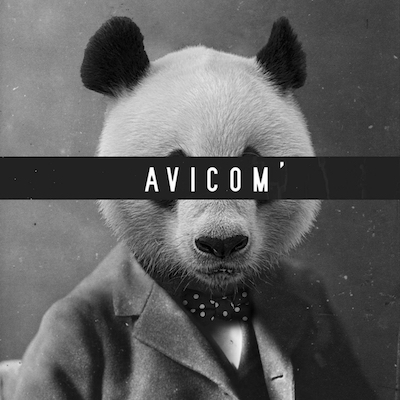AVICOM'